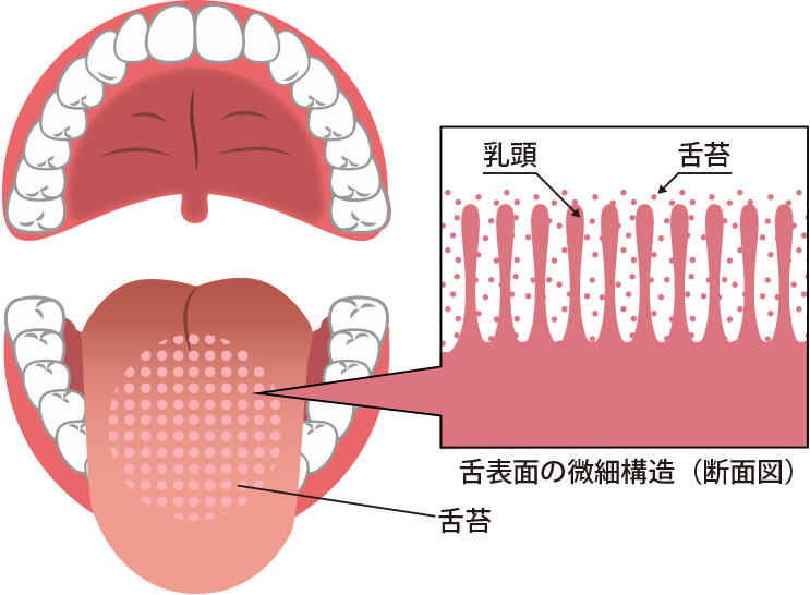 口臭に追い討ちをかけるタバコ