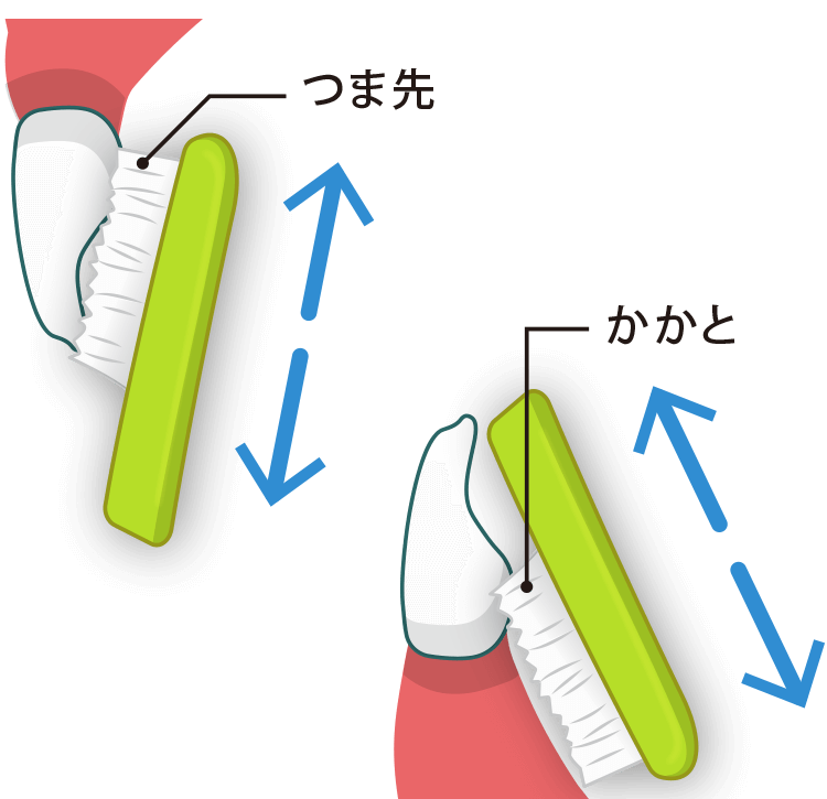 利き手側の奥歯の内