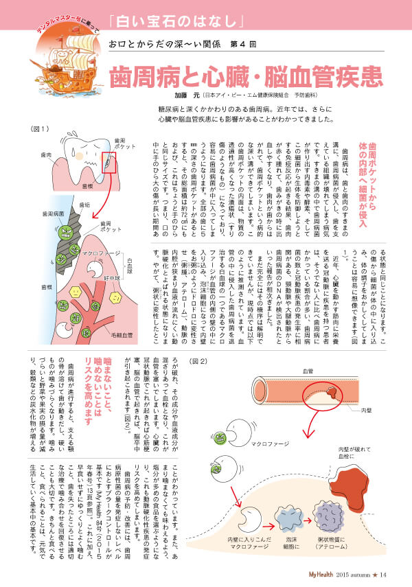 お口とからだの深～い関係 第4回「歯周病と心臓・脳血管疾患」　(まいへるす秋号／第86号)