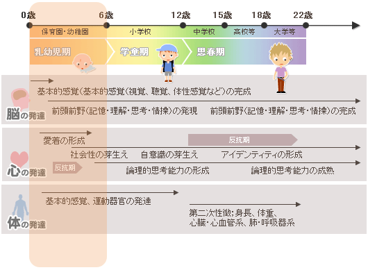 乳幼児期の発達 子どもの発達