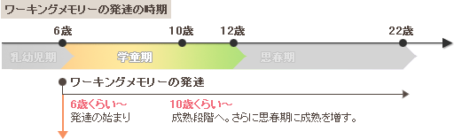 メモリ ワーキング