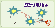 回路の刈り込み