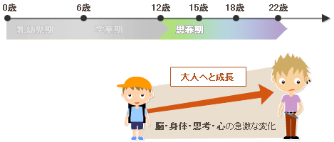 思春期の発達 思春期とは